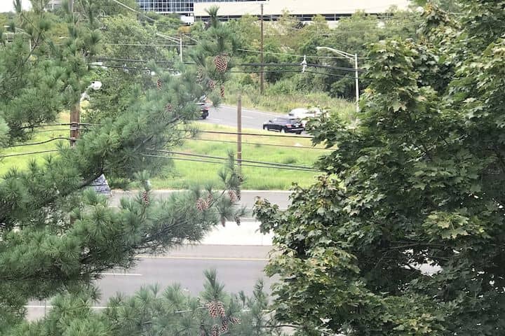 View from property